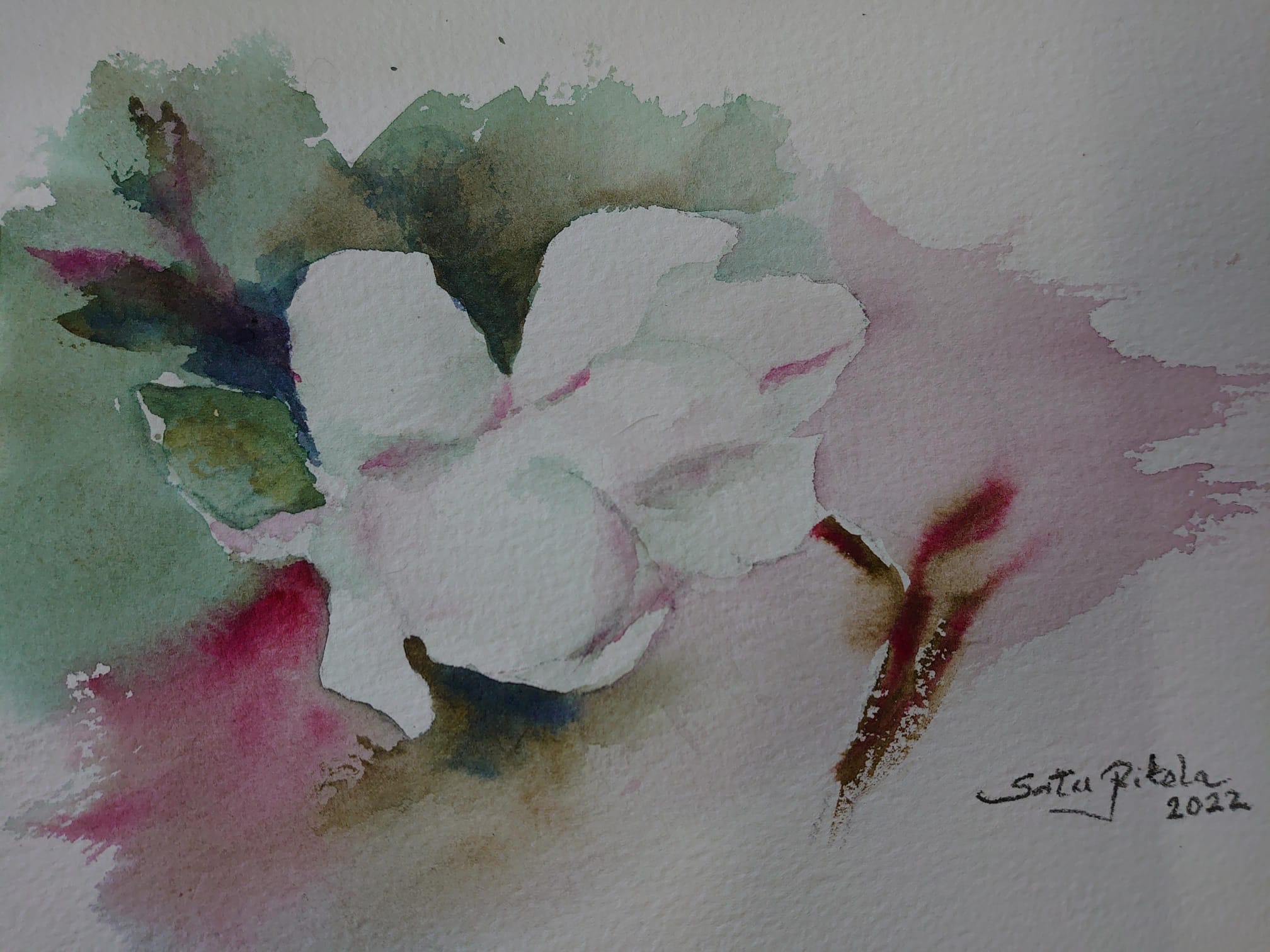 kuva taideteoksesta, jonka nimeltään Pensasruusu